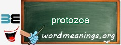 WordMeaning blackboard for protozoa